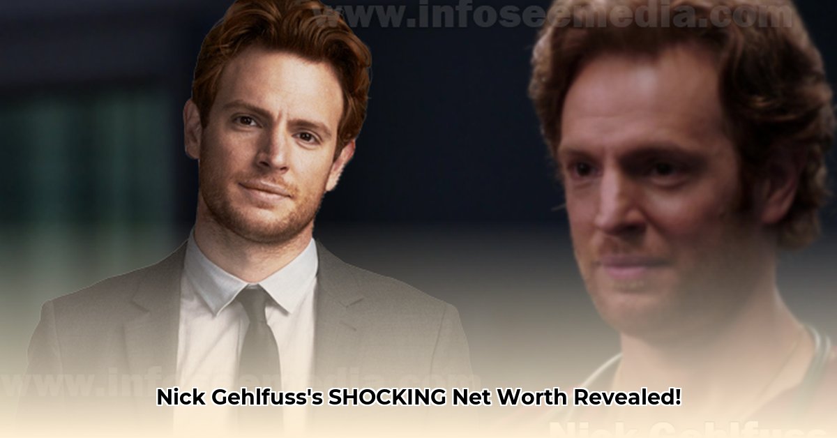 nick-gehlfuss-net-worth